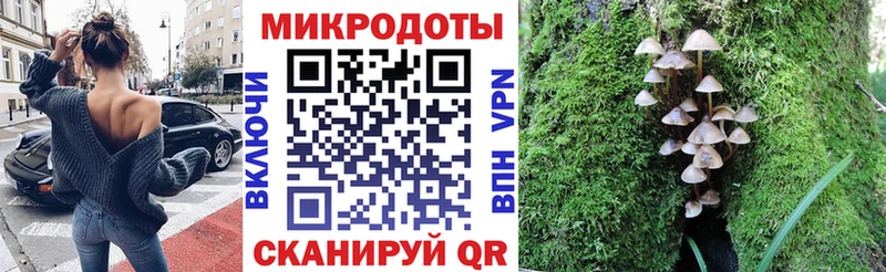 Купить где  Сенгилей  Псилоцибиновые грибы Cubensis 