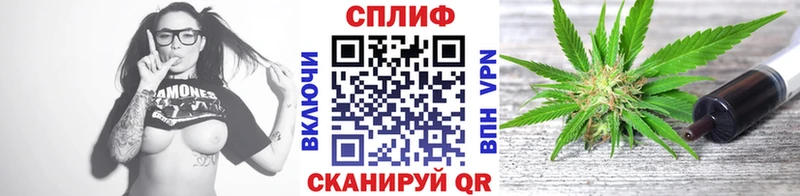Купить  Сенгилей  Канабис план 